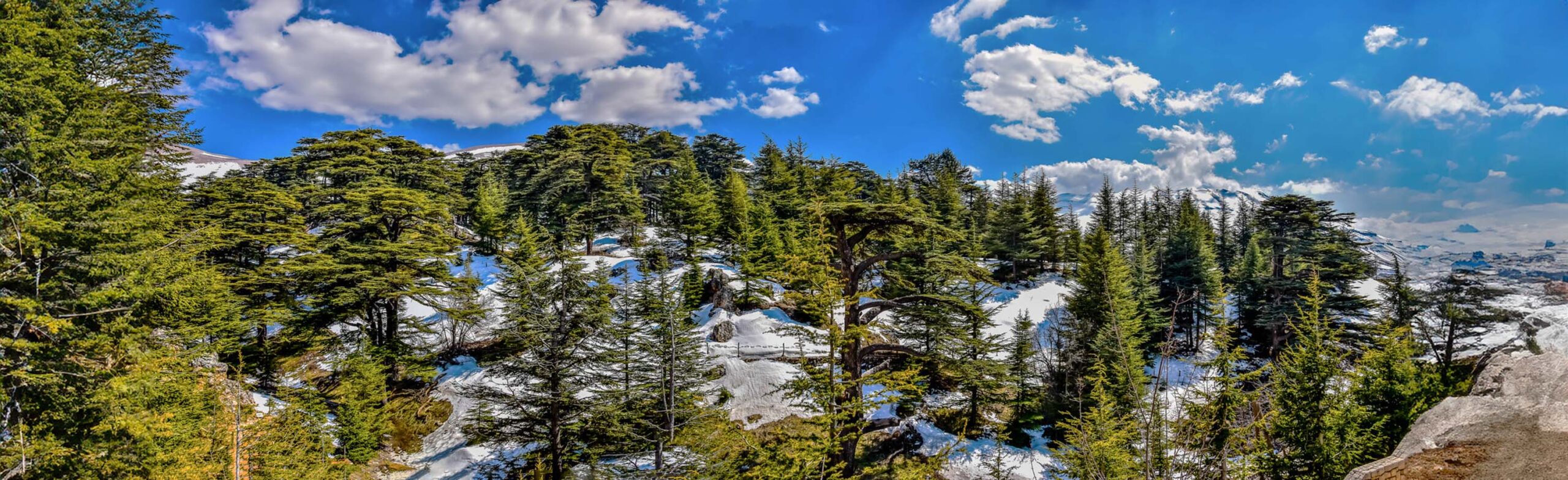 The Cedars of God, Lebanon